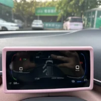 BYD Seagull Vitality Edition 55kw