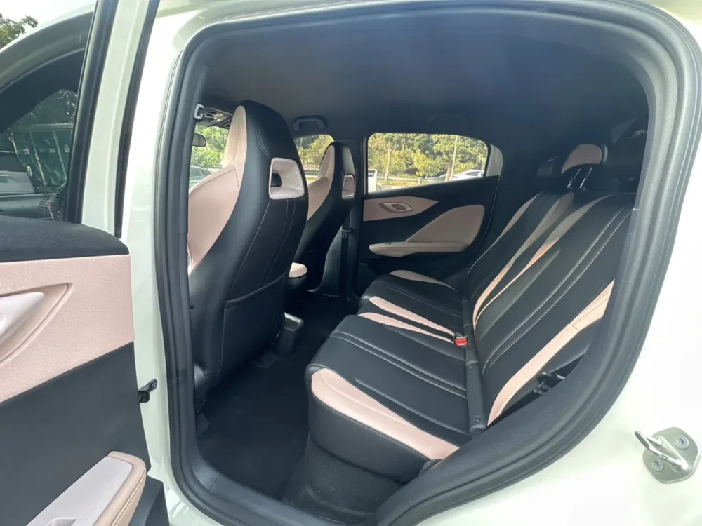 BYD Seagull Vitality Edition 55kw