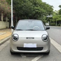 Changan Lumin model 205km Xiangqin model