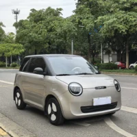 Changan Lumin model 205km Xiangqin model