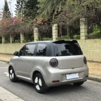 Changan Lumin model 205km Xiangqin model