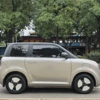 Changan Lumin model 205km Xiangqin model