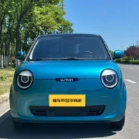 Changan Lumin model 205km Xiangqin model