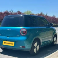 Changan Lumin model 205km Xiangqin model