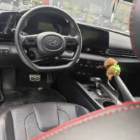 Hyundai Elantra 240TGDi DCT LUX Premium Edition
