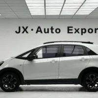 HONDA LIFE 1.5L CVT CROSS Fun Edition