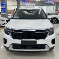 Kia Seltos 1.5L IVT Luxury Edition