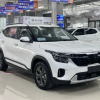 Kia Seltos 1.5L IVT Luxury Edition