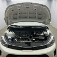 Kia Pegas 1.4L automatic comfort sunroof version