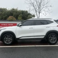 Kia Seltos 1.5L IVT Luxury Edition