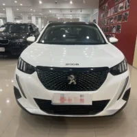 Peugeot 2008 230THP THE ONE