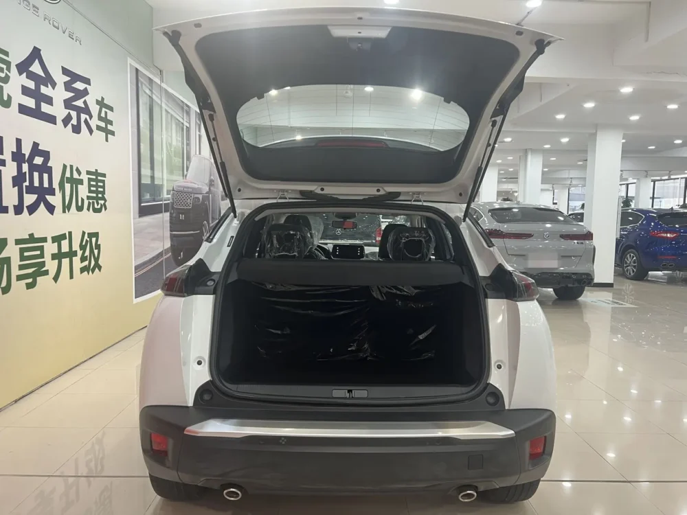 Peugeot 2008 230THP THE ONE