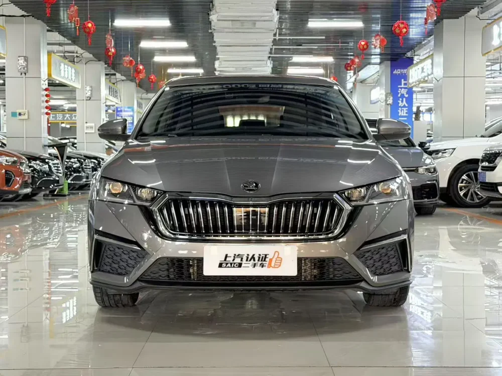 Skoda Octavia PRO TSI280 DSG luxury version