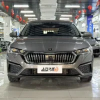 Skoda Octavia PRO TSI280 DSG luxury version