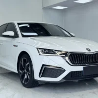 Skoda Octavia PRO TSI280 DSG exclusive version